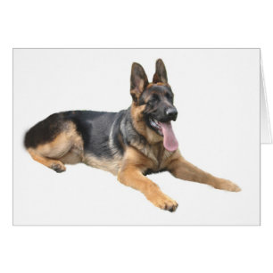 Cartão Placa de german shepherd