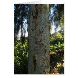 Cartão Placa de Grafite de árvore tailandesa