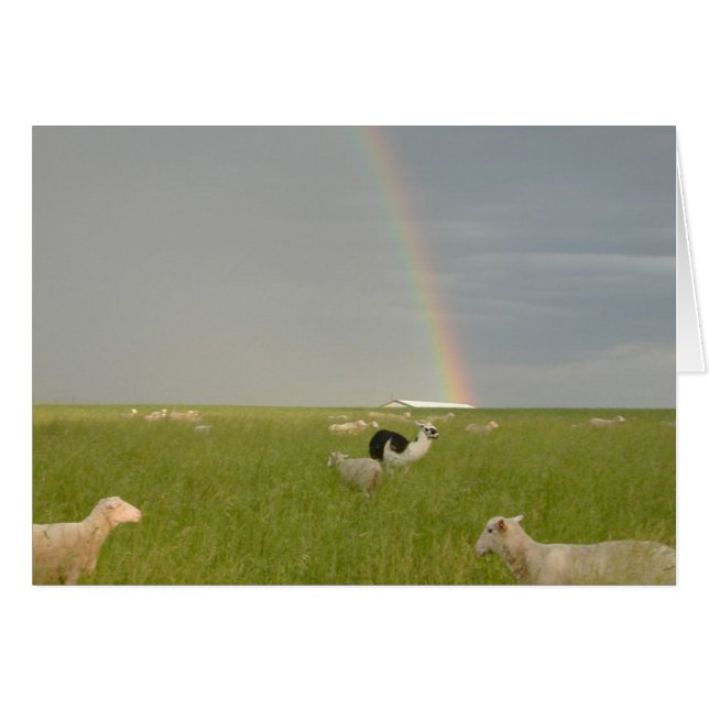 Cartão Placa de Guarda 2 (Frente Horizontal)