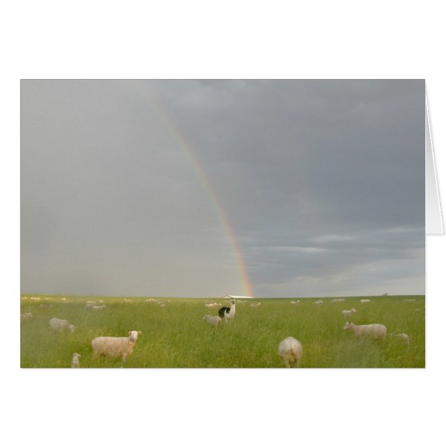 Cartão Placa de Guarda colorida (Frente Horizontal)