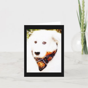 Cartão Placa de Halloween Pyr excelente