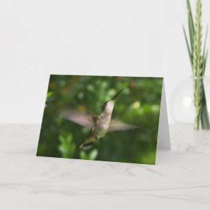 Cartão Placa de Hummingbird de Throat de Ruby Feminino