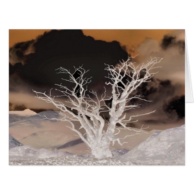 CARTÃO PLACA DE INVERNO DE MONTANHA (Frente horizontal)