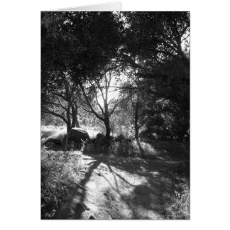 Cartão Placa de isolamento