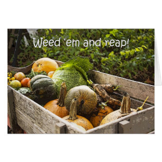 Cartão Placa de Jardim Vegetais