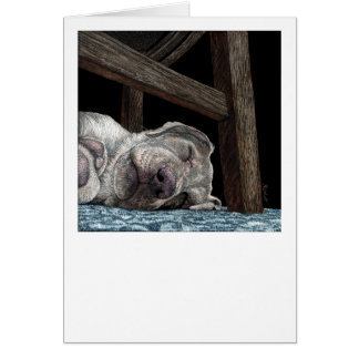 Cartão Placa de laboratório amarela "Any Port for a Nap"