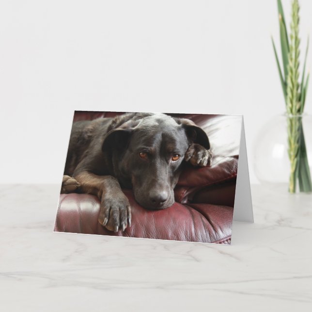 Cartão Placa de laboratório preta (Frente)