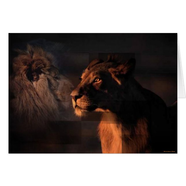 Cartão Placa de Leões (Frente Horizontal)