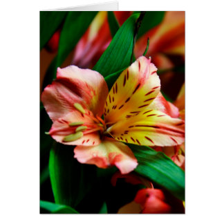 Cartão Placa de Lily de Tigre Laranja Vibrante