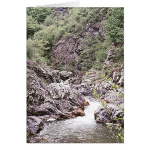 Cartão Placa de Natureza de Pequena Quebra-Carga