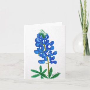 Cartão Placa de Nota Bluebonnet com Estrela Solitária