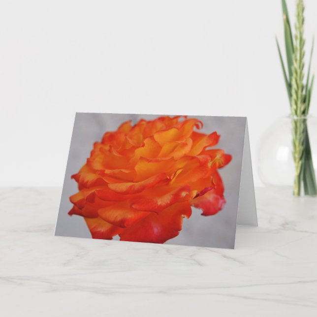 Cartão Placa de Nota de Arte com Flor Laranja Rosa (Frente)