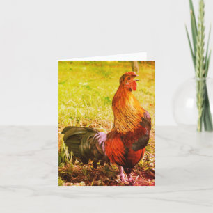 Cartão Placa de Nota de Arte de Fazenda de Galo