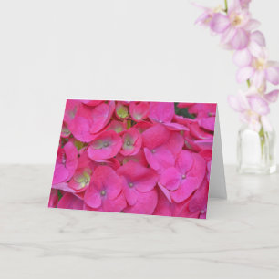 Cartão Placa de Nota de Arte Fechar Pelas Hipotecas Rosa