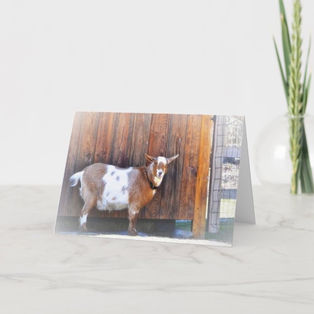 Cartão Placa de Nota de Caprino Feliz (Frente)