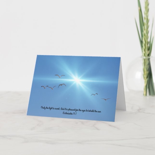 Cartão Placa de Nota de Escritura Sun Sagulls Eclesiastes (Frente)