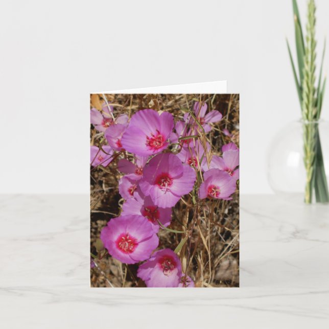 Cartão Placa de Nota de Godemência (Frente)