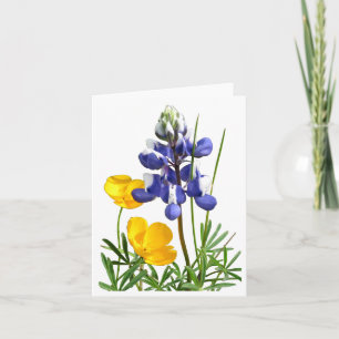 Cartão Placa de Nota de Poppies Lupine