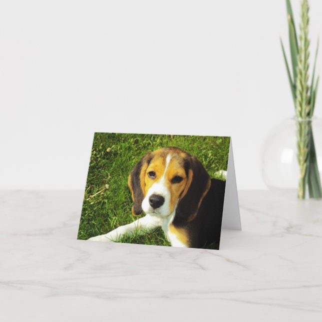 Cartão Placa de Nota de Pupppy Beagle (Frente)