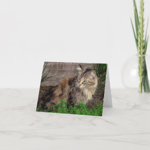 Cartão Placa de Nota de Retrato de Cat Feral