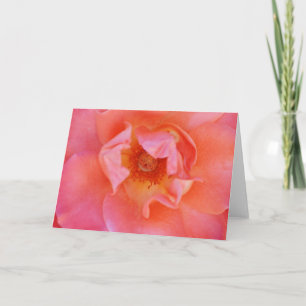 Cartão Placa de Nota de Rosa de Arte Rosa Bonita