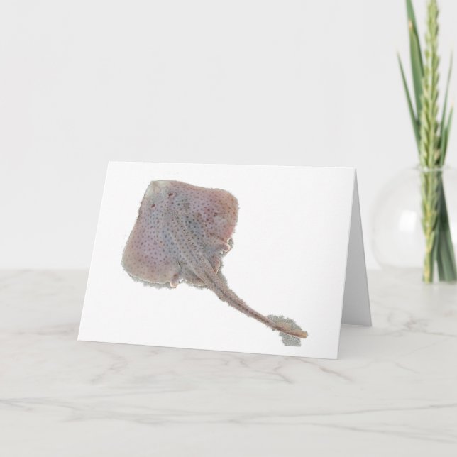 Cartão Placa de Nota de skate (Frente)