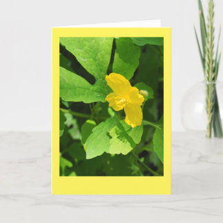 Cartão Placa de Nota de Vazio Celandine Poppy