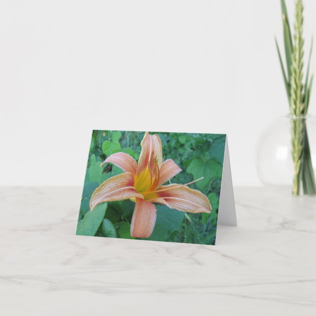 Cartão Placa de Nota Delicada na Estrada (Frente)