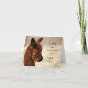 Cartão Placa De Nota Do Alpaca Psalm 46:10