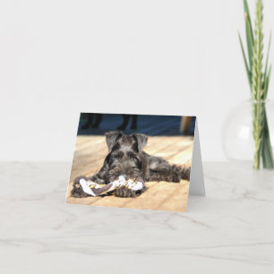 Cartão Placa de Nota do Miniatura Schnauzer nº 6 - vazio