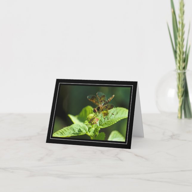 Cartão Placa de Nota do Vazio Dragonfly (Frente)