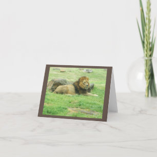 Cartão Placa de Nota Inspirativa Lion