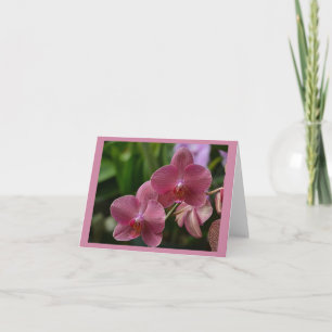 Cartão Placa de Nota Orquídea Rosa