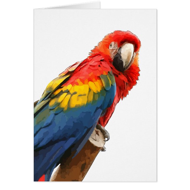 Cartão Placa de Nota para Macaw Scarlet (Frente)