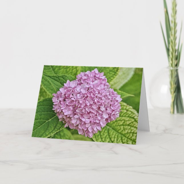 Cartão Placa de Nota Puff de Hydrangea de Lavanda Roxa (Frente)