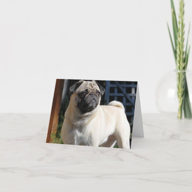 Cartão Placa de Nota Pug Fawn - Vazio (Frente)