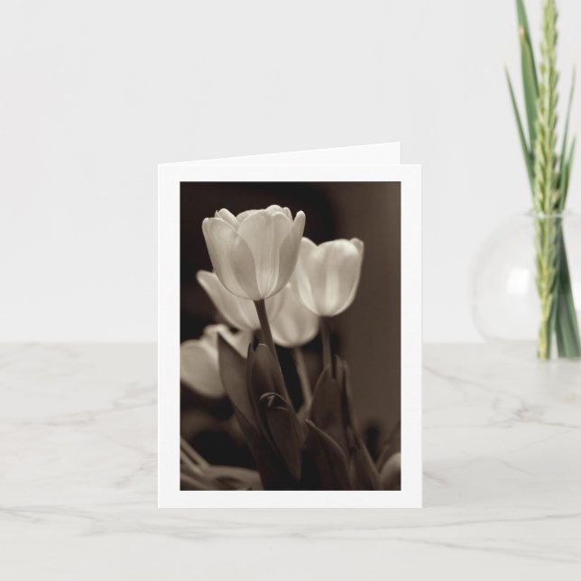 Cartão Placa de Nota Sepia Tulip (Frente)