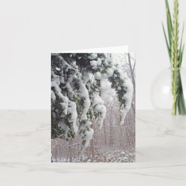 Cartão Placa de Nota Snowy Spruce (Frente)