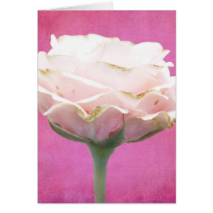 Cartão Placa de Ocasião Rosa Rosa Tinta Texturizada