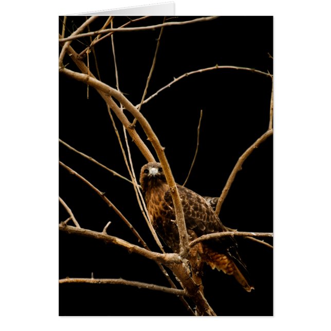 Cartão Placa de ouro (Frente)