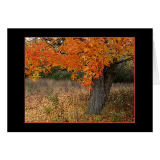 Cartão Placa de outono Amber Nostálgica