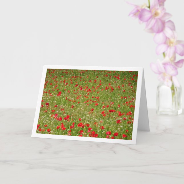 Cartão Placa de Paisagem de Campo Poppy (Orquídea)