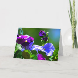 CARTÃO PLACA DE PANSY-QUALQUER OCASIÃO