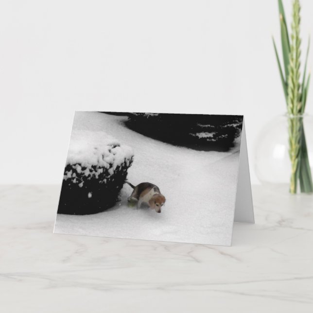 CARTÃO PLACA DE PARABÉNS DE GRADUAÇÃO (Frente)