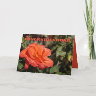 Cartão Placa de Parabéns Florais de Peachy