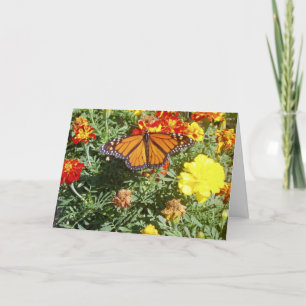 Cartão Placa de Páscoa "Blending In"