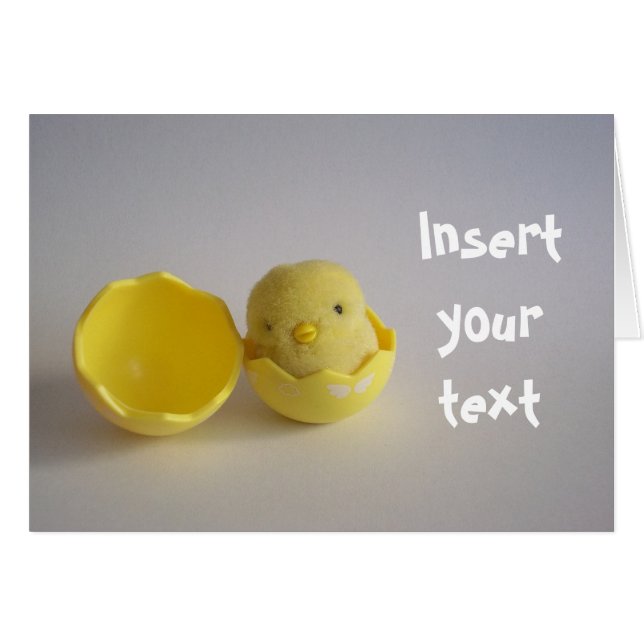 Cartão Placa de Pintinho amarela (Frente Horizontal)