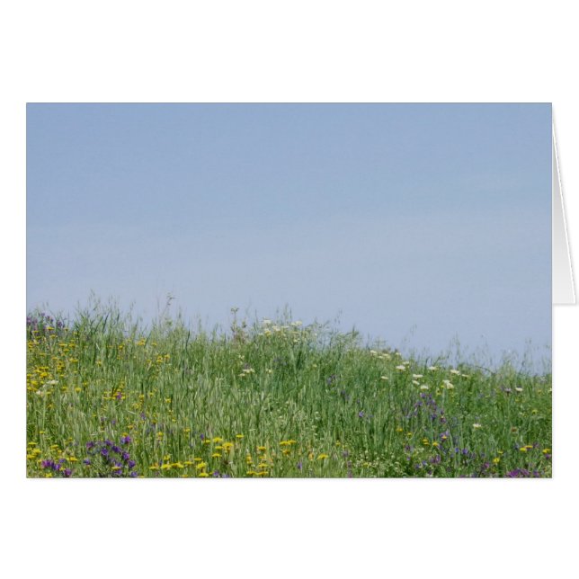 Cartão Placa de Prévia da Flor de Verão (Frente Horizontal)