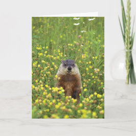 Cartão Placa de Regra Groundhogs
