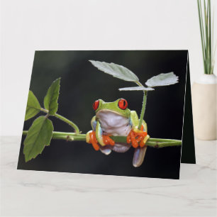 Cartão Placa de Sapo de Texto Personalizada